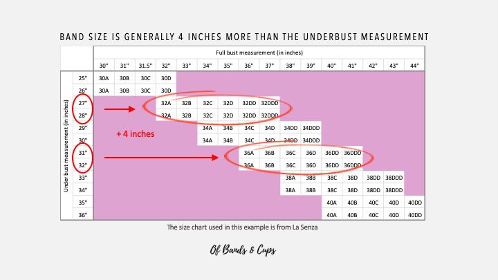 The Complicated World Of Bra Sizes Bands Cups The Complicated World Of Bra Sizes Bands Cups