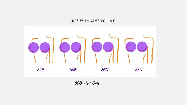 example of bra sizes