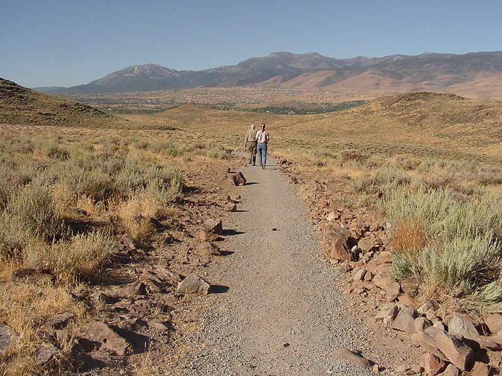washoe county 2.jpg
