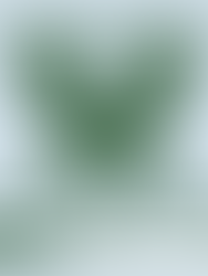 A New Hof's 1st Jól!