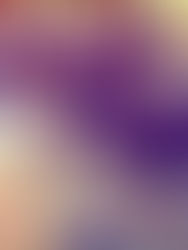 Eastern Pennsylvania Dinner