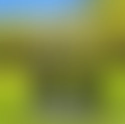 Are you coming to Sigrblót at Sigrheim?