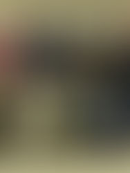 Jujitsu at Þórshof