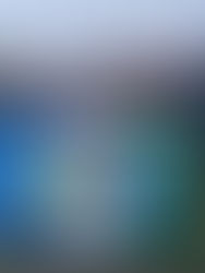 Eastern Washington Moot