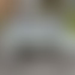 November Food Pantry at Freyshof