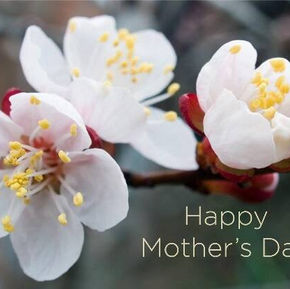 Happy Mother's Day