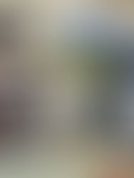 167 Families fed at AFA Food Pantries in May