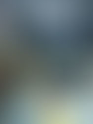 On the Third Day of Jól