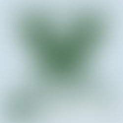 Dedication Day is Fast Approaching