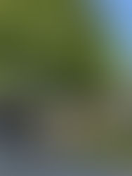 September Food Pantry at Baldrshof