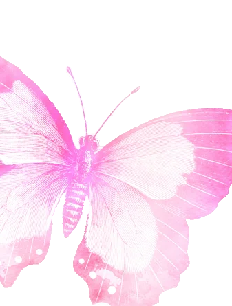 _+Pink+Butterfly+V+_ copy2.png