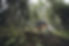 mountain biking.jpg