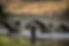 fly fishing.jpg