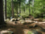 PA040049.JPG