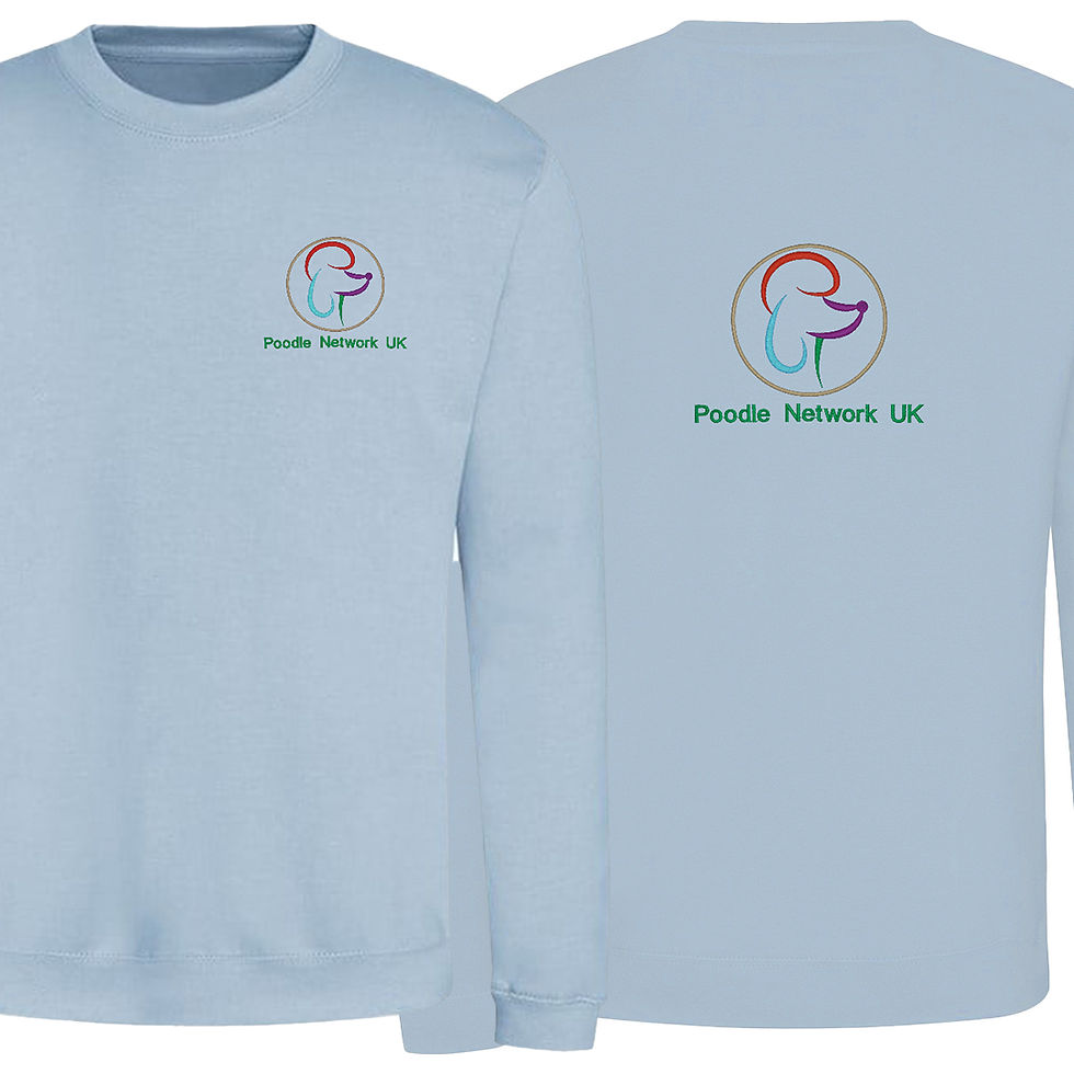 Thumbnail: Poodle Network Sweatshirt with Coloured Logo
