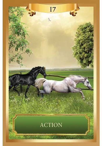 Thumbnail: Energy Oracle Cards