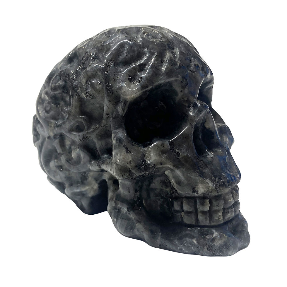 Thumbnail: Larvikite Engraved Skull
