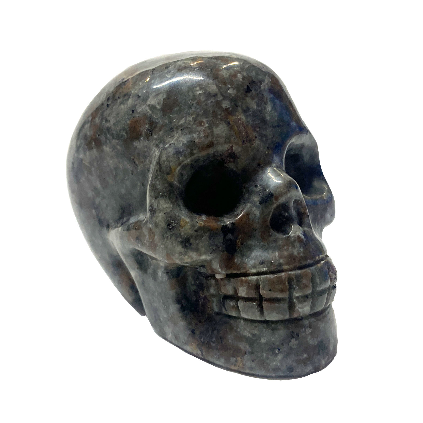Yooperlite Skull Large