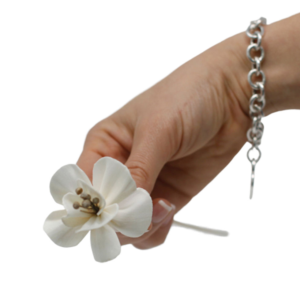 Thumbnail: Lily Reed Diffuser Flower