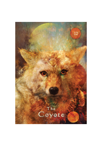 Thumbnail: Mystical Shaman Oracle Cards