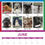 Thumbnail: 2026 Poodle Network UK Wall Calendar