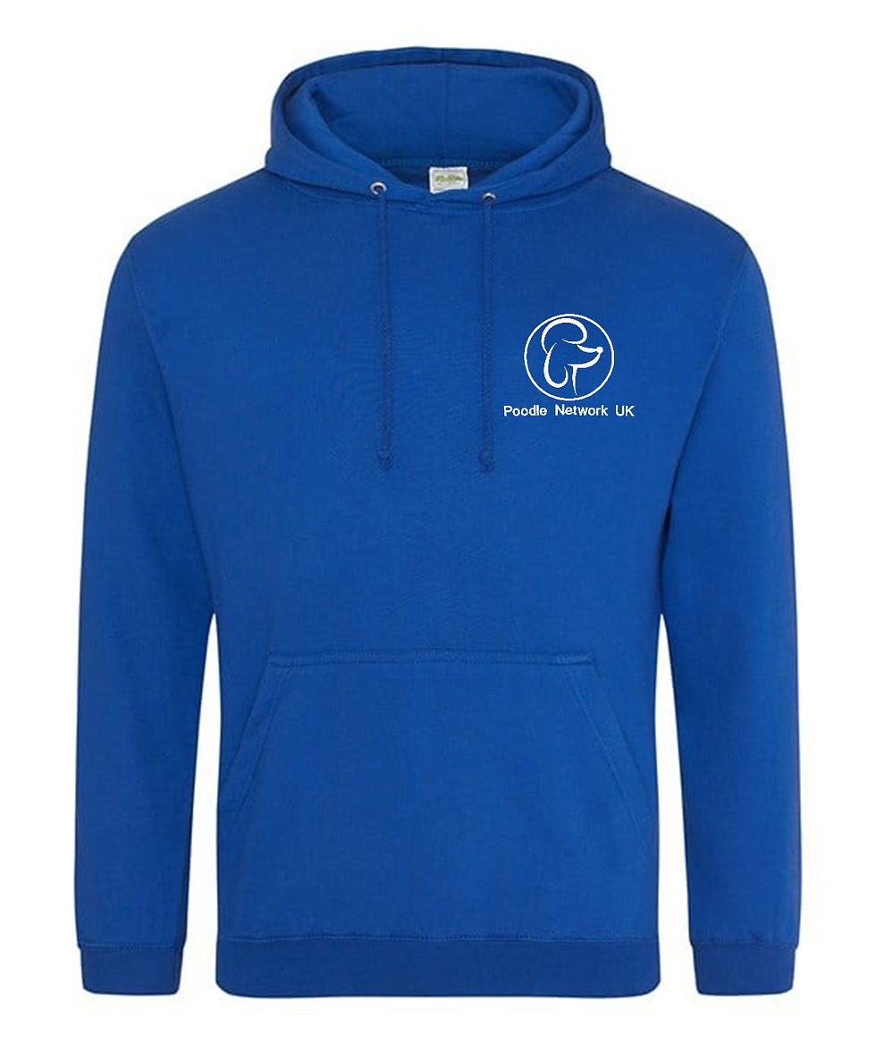 Thumbnail: Poodle Network Pull Over Hoodie with White Logo