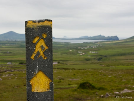 New Signposts: Covenant Integrity