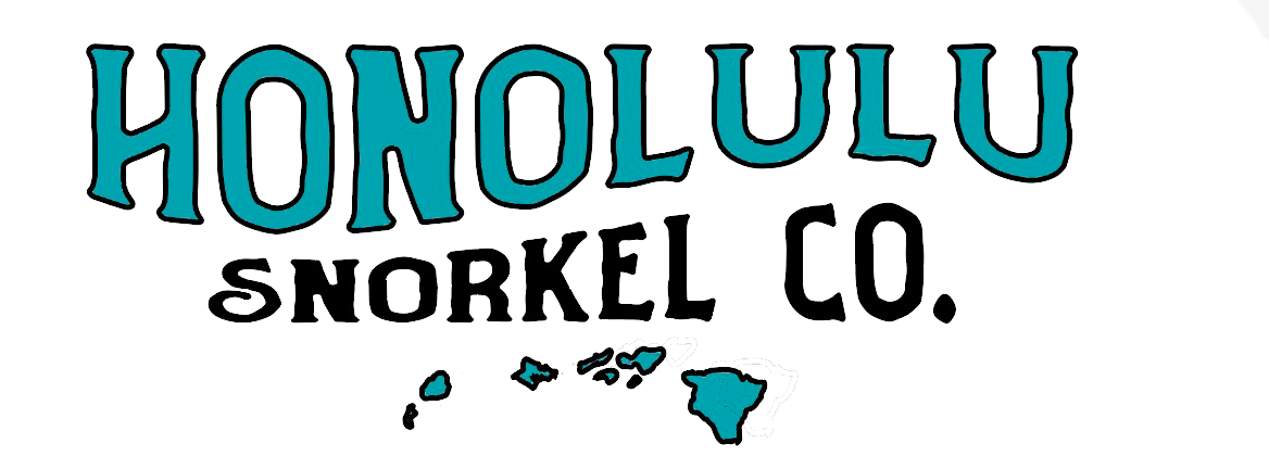Honolulu Snorkel Company logo