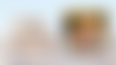 İki Devlet Tek Millet, 1 Charter Uçuşu