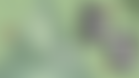 Türkçe: Yazıyor... Talks!: Dr. Zeynep Pınar Cohen | 'İş'te travma!