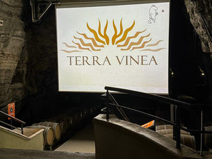 Terra Vinea : une visite insolite sous terre dans une ancienne mine des Corbières une immersion hors du temps à 80 mètres sous terre.