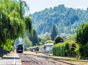 Le Train à Vapeur des Cévennes : une histoire de passion au cœur des Cévennes