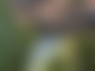 À l’extrême sud des Pyrénées-Orientales, niché entre mer et reliefs escarpés, Cerbère est un véritable joyau encore préservé de la côte Vermeille. À deux pas de la frontière espagnole, ce village authentique séduit par ses paysages bruts, son atmosphère paisible et ses eaux cristallines. Si tu cherches une destination loin de la foule, où nature et déconnexion sont au rendez-vous, Cerbère pourrait bien devenir ton coup de cœur.