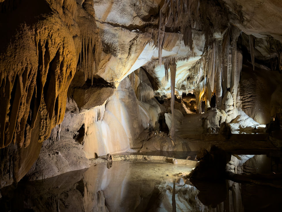 La Grotte de la Cocalière : un voyage fascinant au cœur des Cévennes