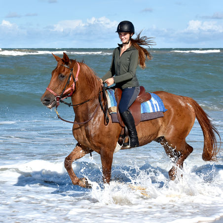 _JYS6081 copie2 copie 2.jpg