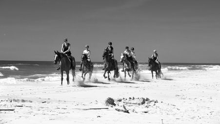 _JYS5856 copie2 copie.jpg