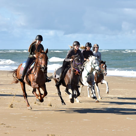 _JYS5973 copie 2.jpg