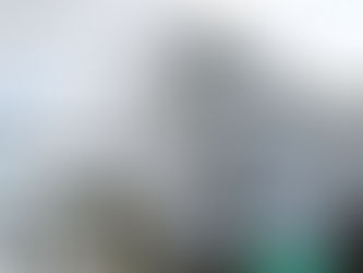 Pellet Mills in Malaysia: A Comprehensive Overview of Pelletizing Technologies