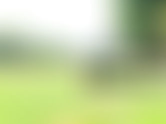 夏季休業のお知らせ。