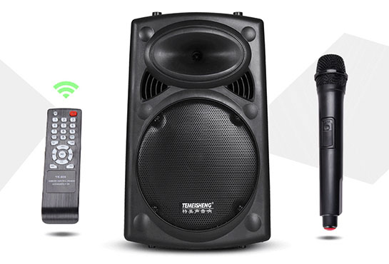 Hát karaoke thỏa thích với loa kéo tay
