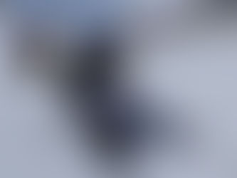 Tag 6 - Hundeschlittenrennen und Schneemobiltour