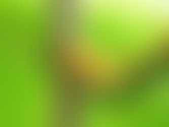 Tag 20 - Nationalpark Cahuita ( Eingang 2)