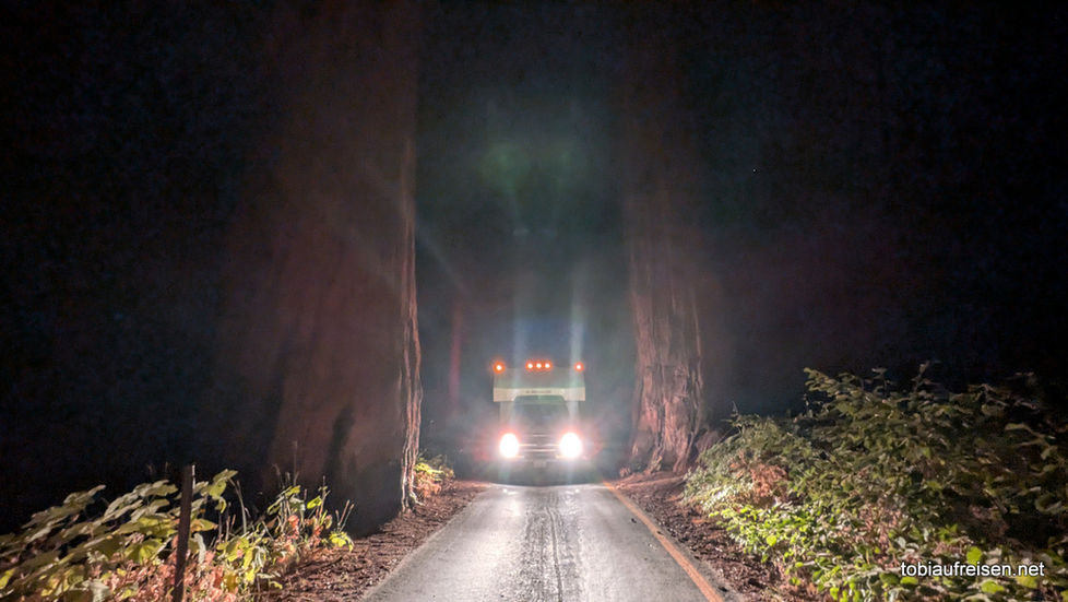 Tag 4 - Sequoia Nationalpark