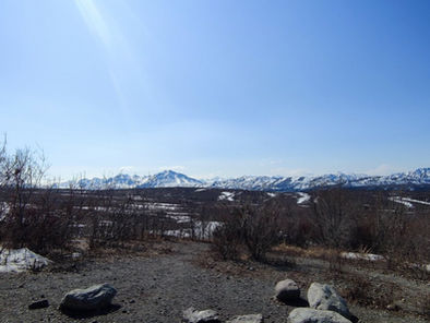 Tag 17 - Denali Nationalpark