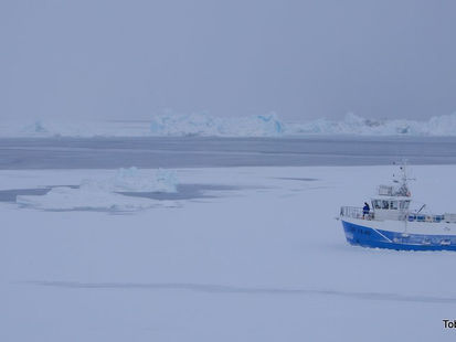 Tag 9 - Faszination Ilulissat 