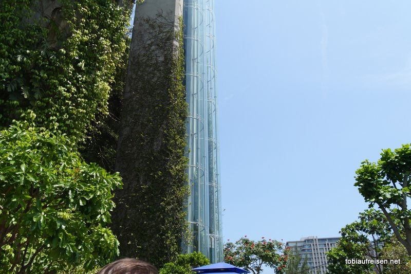 Mit diesem Höllenteil müssen wir hoch fahren (ich weine schon)