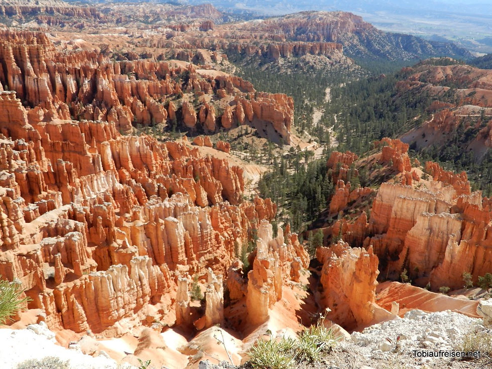 Lieblingsnationalparks USA