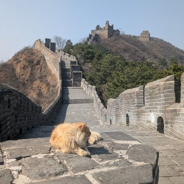 Tag 17 - Chinesische Mauer