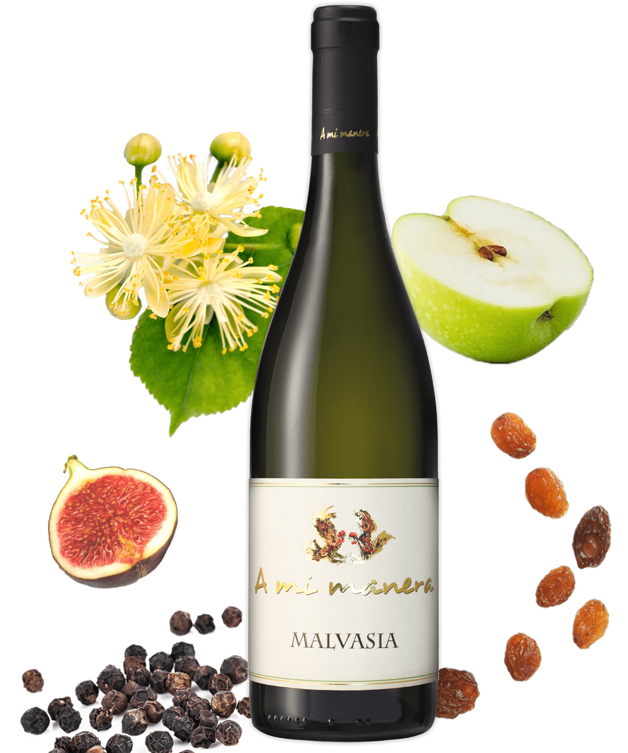 Malvasia