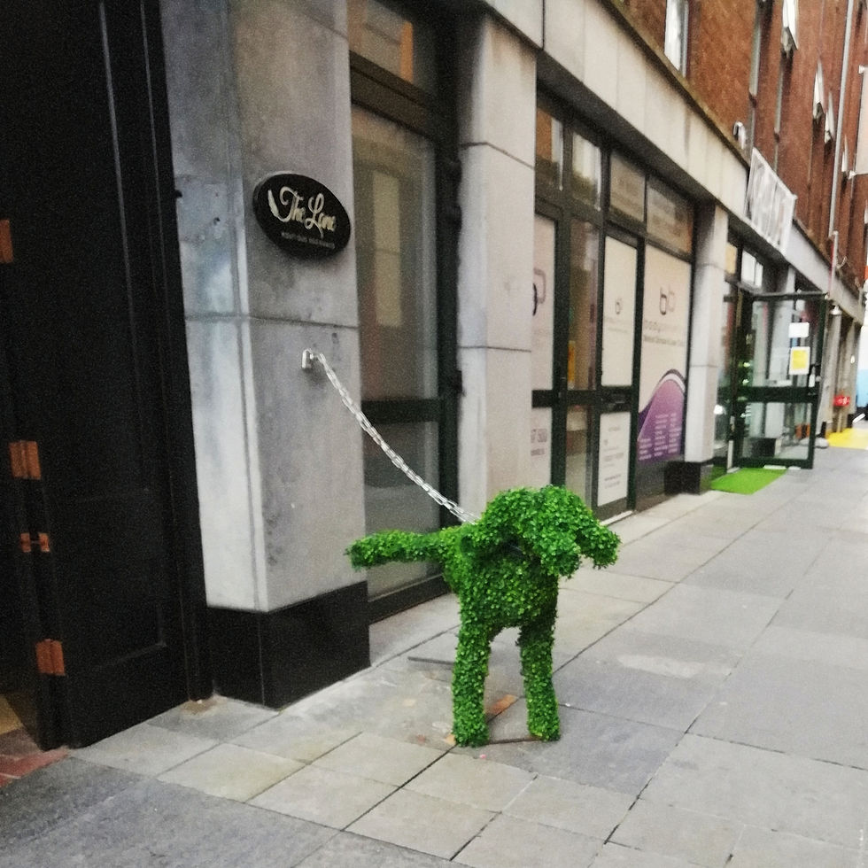 Galway girl - Irlanda